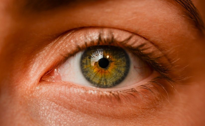 Oczy to wyjątkowy organ. To naturalnie dzięki nim spostrzegamy.